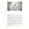 Bookdealers:Twyfelfontein | D. W. Krynauw
