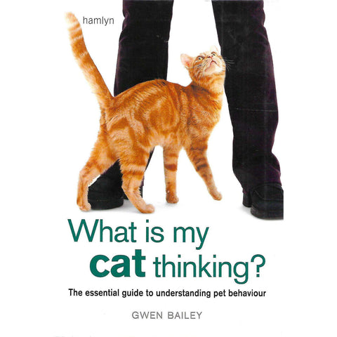 What is My Cat Thinking? The Essential Guide to Understanding Pet Behaviour | Gwen Bailey