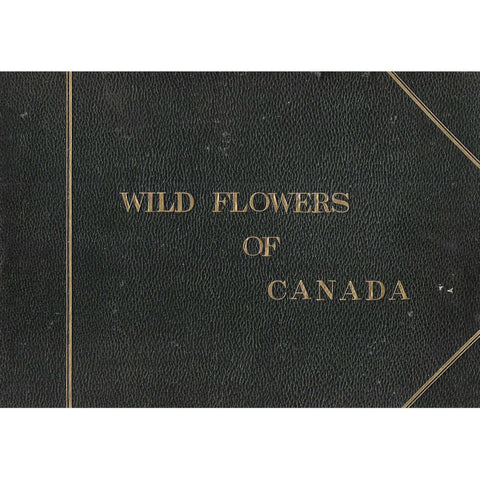 Wild Flowers of Canada