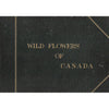 Bookdealers:Wild Flowers of Canada