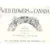 Bookdealers:Wild Flowers of Canada