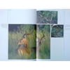 Bookdealers:Wilderness Drawing | Peter Pickford