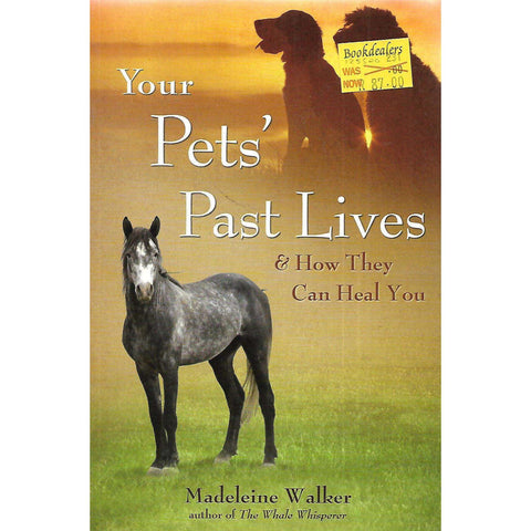 Your Pets' Past Lives & How They Can Heal You | Madeleine Walker